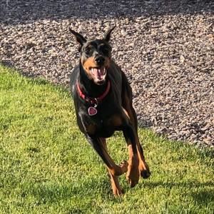 Meet your Posher, Andy